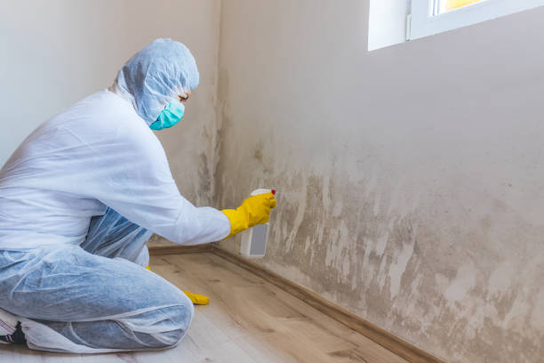 Licensed Mold Testing service in Florence, CO - WQB Mold Removal