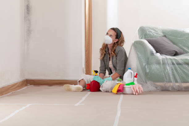 Reliable Mold Testing contractor in Florence, CO by WQB Mold Removal